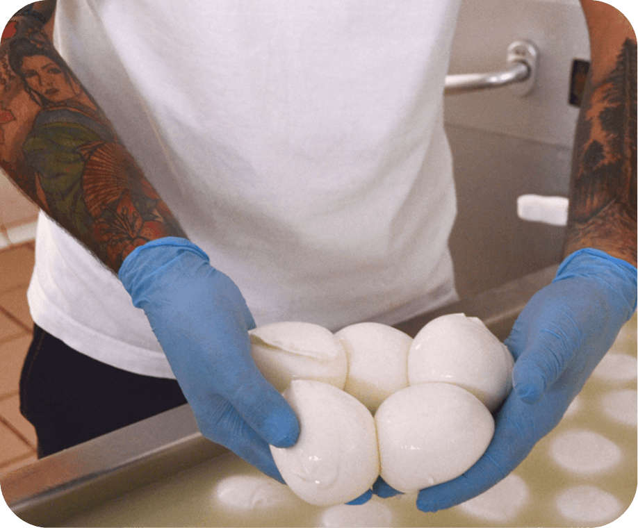 Mozzarella fresca artigianale